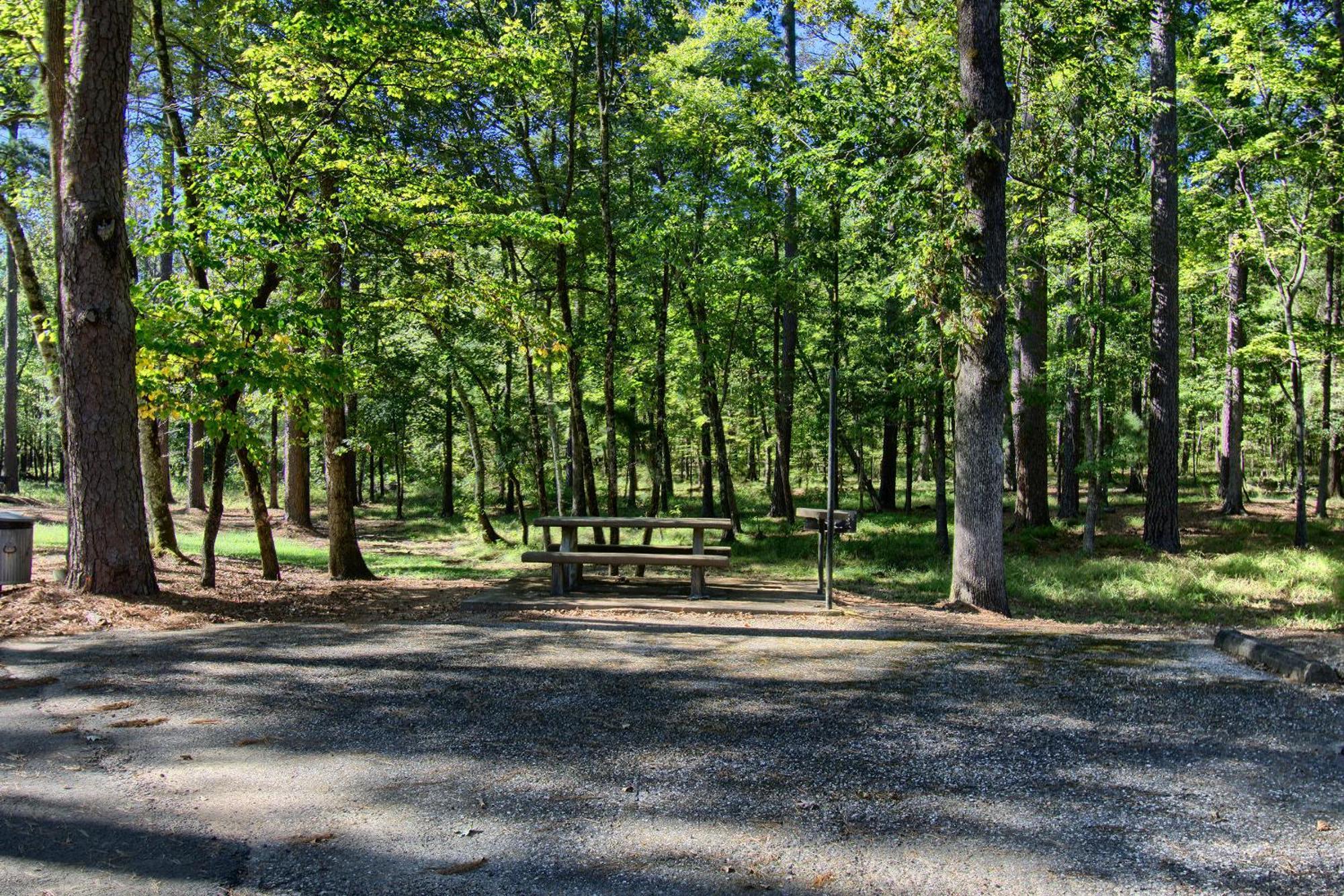 The Americana - Parker Creek Bend Cabins Murfreesboro Ngoại thất bức ảnh